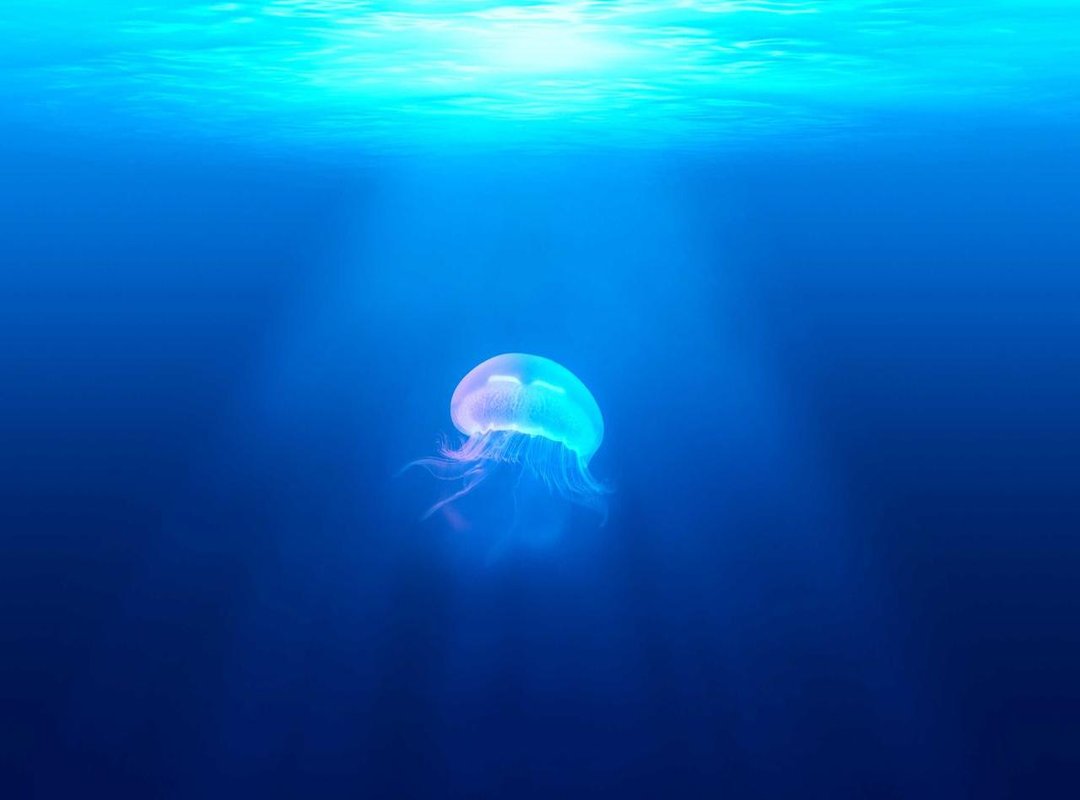 Comparing Your Options: Where to Get the Best Exchange Deal