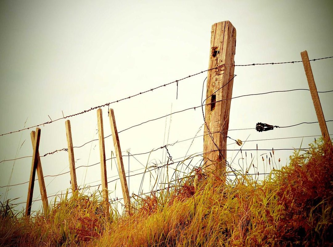 The Hidden Dangers: Malware, Scams, and Viruses