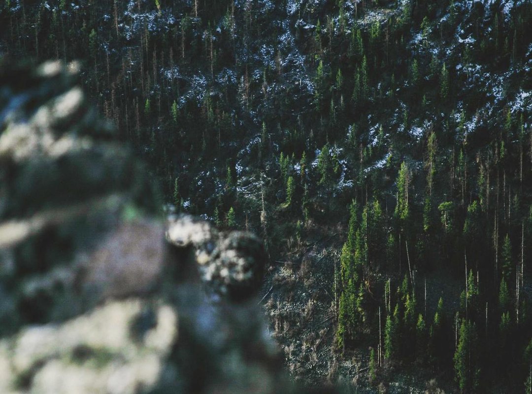 A Quick Look at the Artist: Who is Francis Preve?