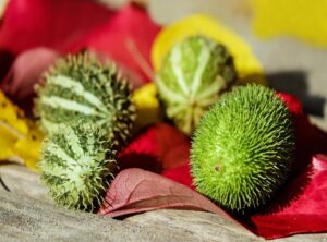 news consumption balance