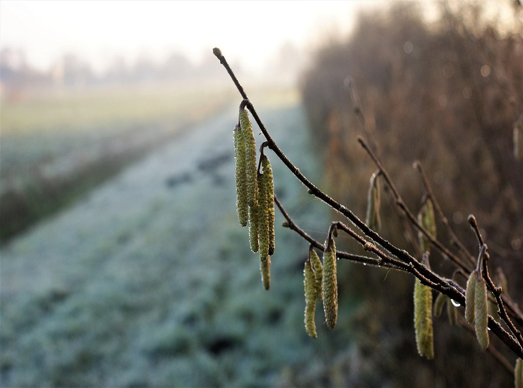 Why Instagram Is Better than Facebook Eyexnews